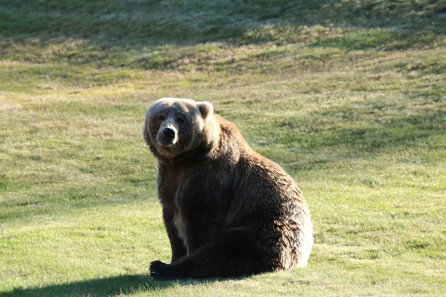 Kodiak, Alaska visual data 6